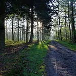 Veluwe Park Reewold Infinity Putten
