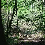 Veluwe Park Reewold Infinity 木屋 皮滕