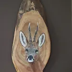 Veluwe Park Reewold Infinity 皮滕