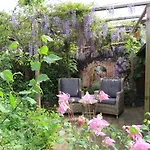 木屋 Veluwe Park Reewold Infinity 皮滕