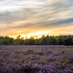 Veluwe Park Reewold Infinity
