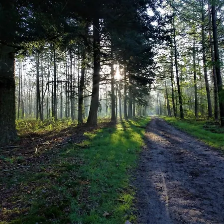 Veluwe Park Reewold Infinity Putten