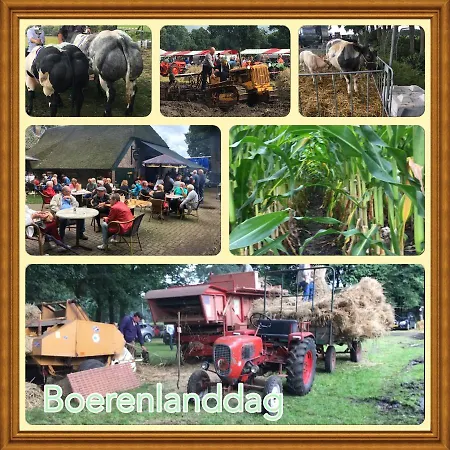 Veluwe Park Reewold Infinity * Putten