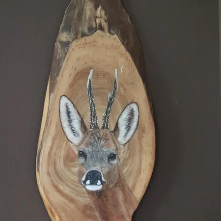Veluwe Park Reewold Infinity פוטן