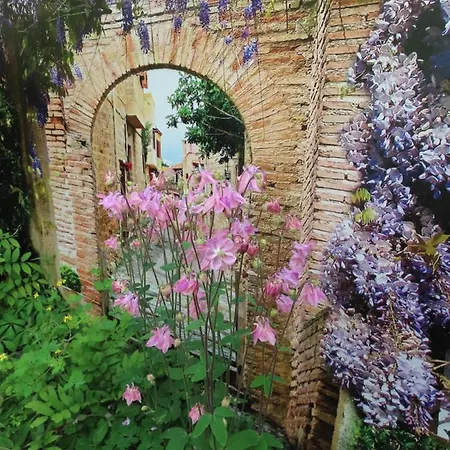 Veluwe Park Reewold Infinity * Putten