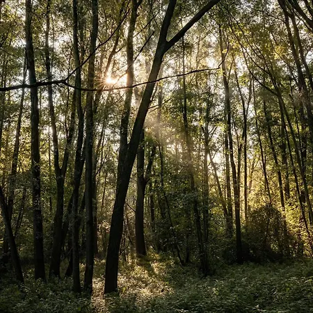 Chalet Veluwe Park Reewold Infinity Putten