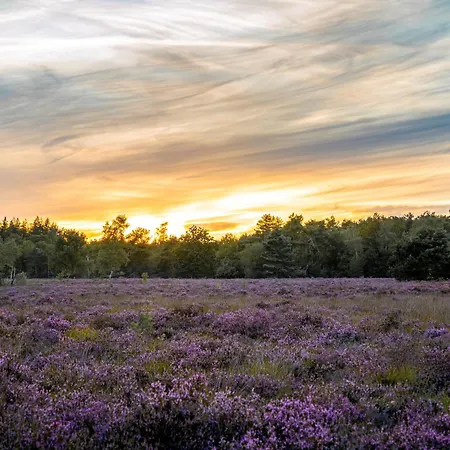 Veluwe Park Reewold Infinity