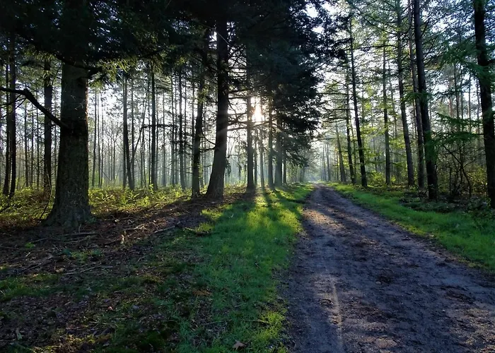 Veluwe Park Reewold Infinity Putten