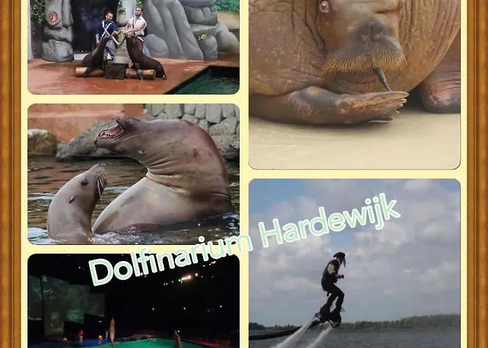 Veluwe Park Reewold Infinity Putten