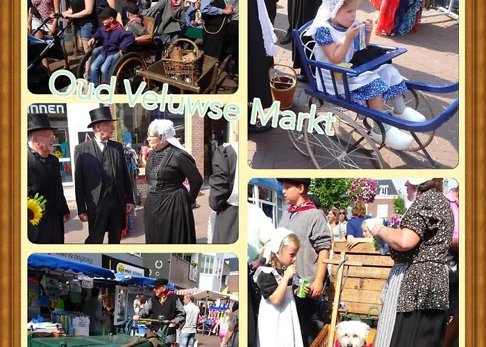 Veluwe Park Reewold Infinity Σαλέ *