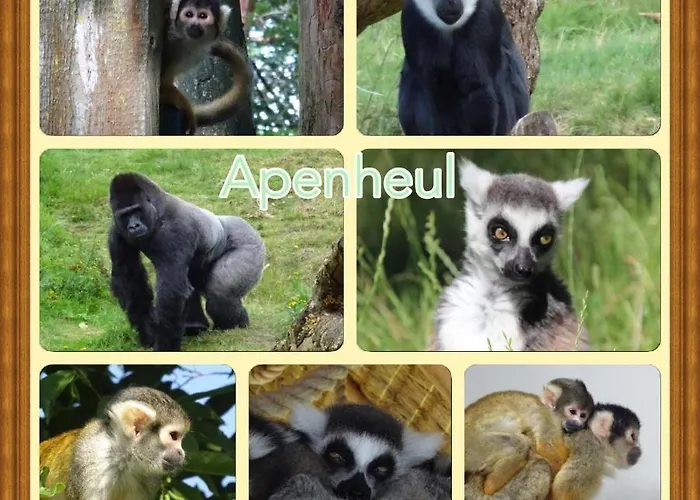 Veluwe Park Reewold Infinity