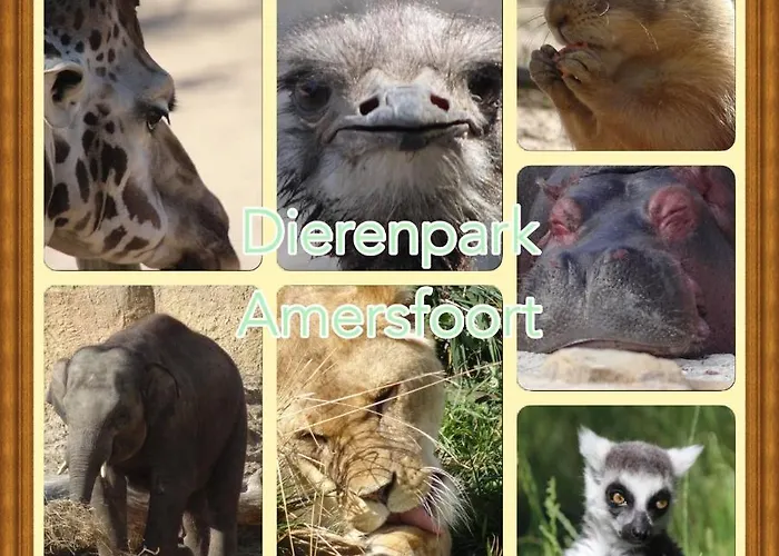 Veluwe Park Reewold Infinity * Putten