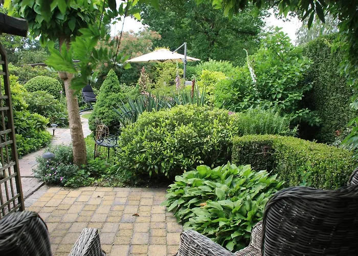 Veluwe Park Reewold Infinity Alpstuga *