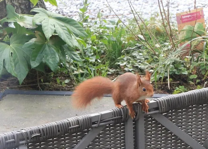 Veluwe Park Reewold Infinity *