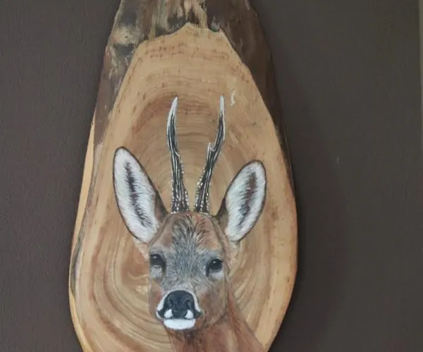 Veluwe Park Reewold Infinity Putten