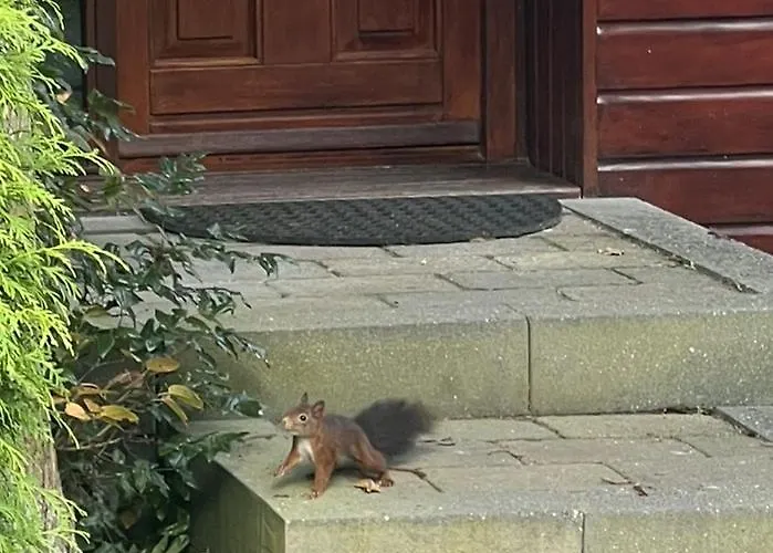 Veluwe Park Reewold Infinity Putten