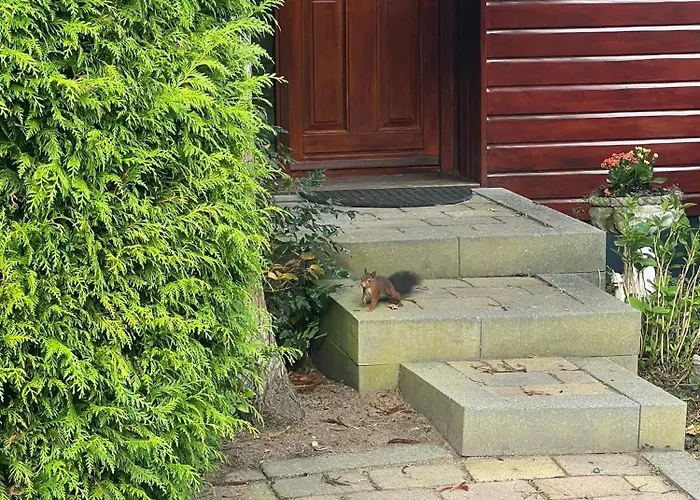 Veluwe Park Reewold Infinity Putten