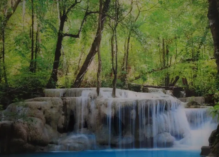 Veluwe Park Reewold Infinity