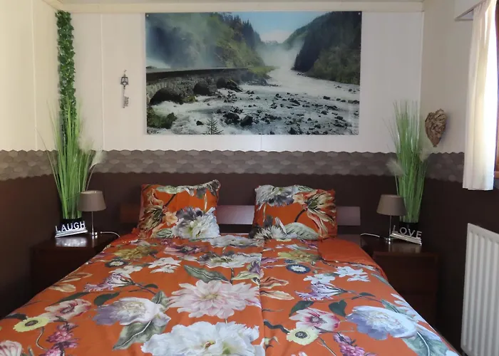 Σαλέ Veluwe Park Reewold Infinity Putten