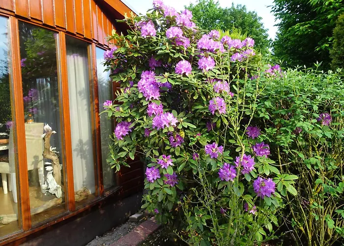 Veluwe Park Reewold Infinity シャレー