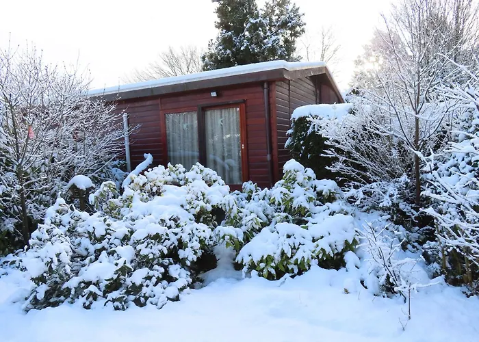 Veluwe Park Reewold Infinity Putten