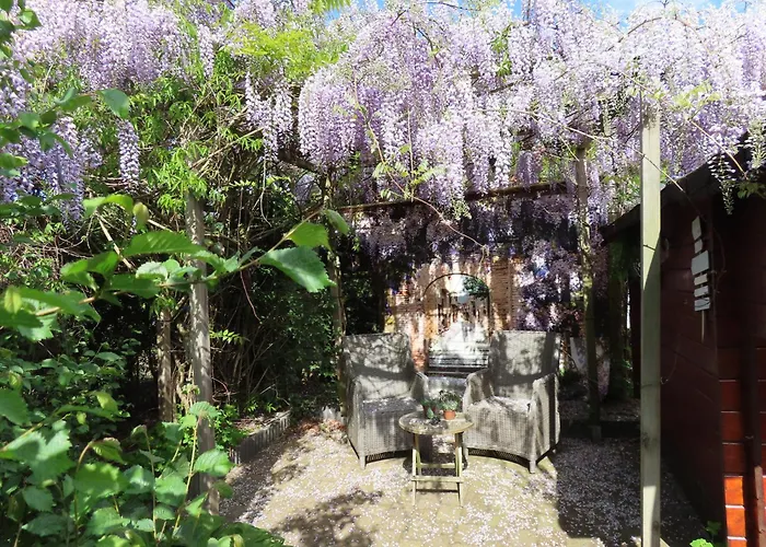 Veluwe Park Reewold Infinity