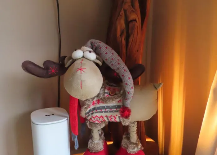 Veluwe Park Reewold Infinity *