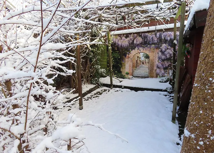 Σαλέ Veluwe Park Reewold Infinity *