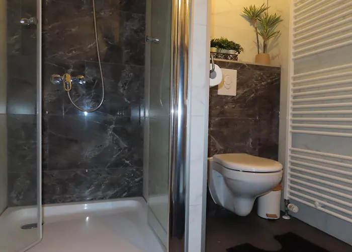 Veluwe Park Reewold Infinity Alpstuga