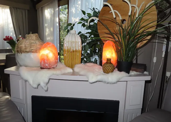 Veluwe Park Reewold Infinity Σαλέ *