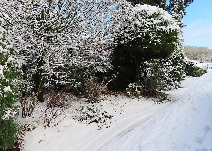 Veluwe Park Reewold Infinity シャレー プッテン