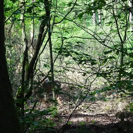 Veluwe Park Reewold Infinity 샬레 푸텐