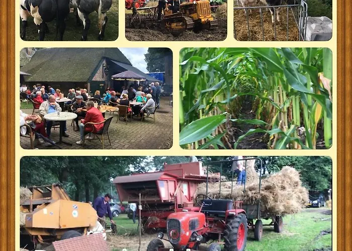 Veluwe Park Reewold Infinity * Putten